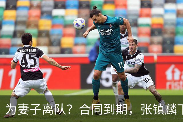 为妻子离队？合同到期，张镇麟下家4选1，广东2队有机会