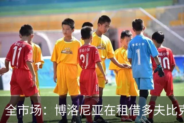全市场：博洛尼亚在租借多夫比克的转会交易中带有买断权