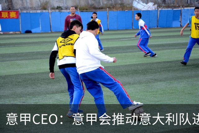 意甲CEO：意甲会推动意大利队进步 国家队低迷原因得追溯到20年前