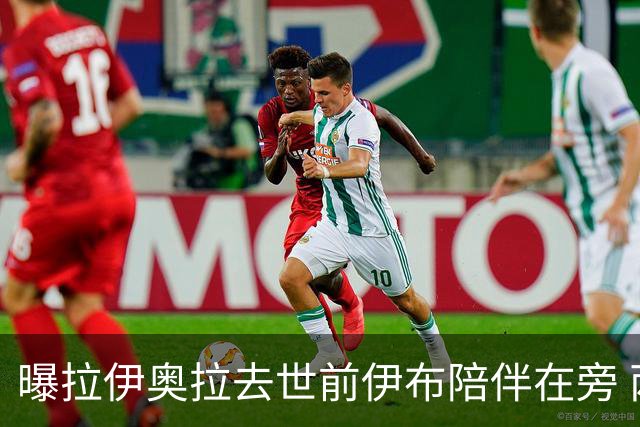 曝拉伊奥拉去世前伊布陪伴在旁 两人合作多年
