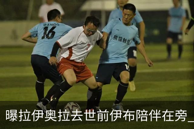 曝拉伊奥拉去世前伊布陪伴在旁 两人合作多年