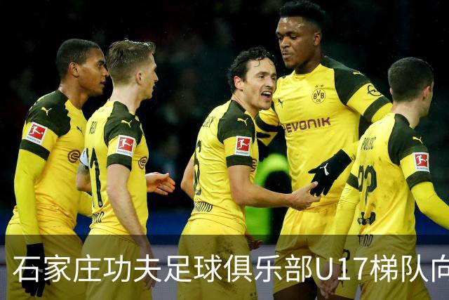 石家庄功夫足球俱乐部U17梯队向全国公开选拔招募优秀青少年球员